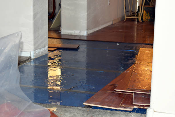 Professional Flood Damage Cleanup technician working in Crystal Beach, FL